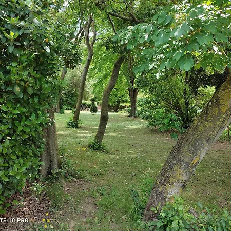 Chateau Saint-martin