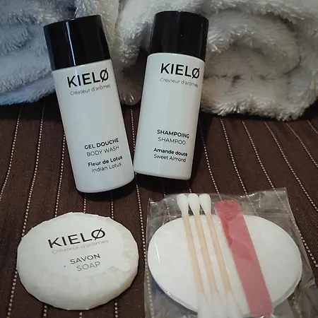 Chateau Saint-martin 4*