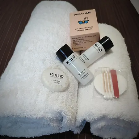 Chateau Saint-martin 4*