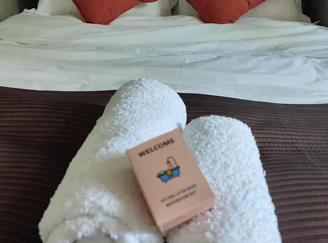 Chateau Saint-martin