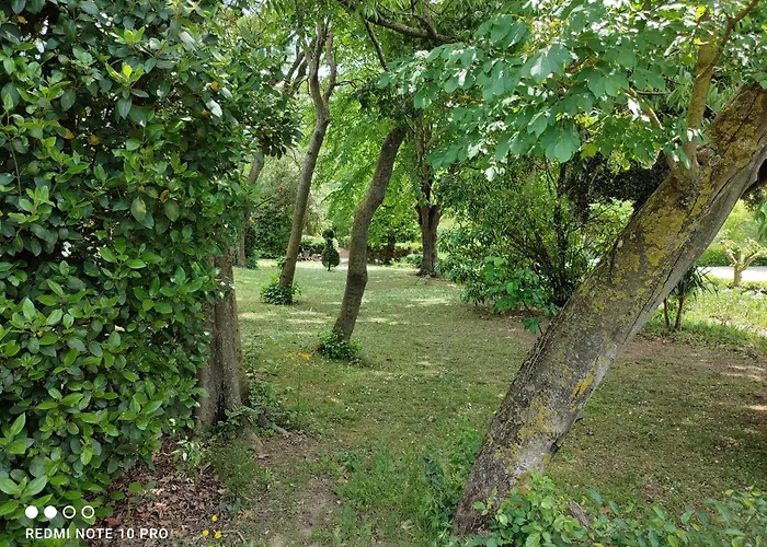 Chateau Saint-martin