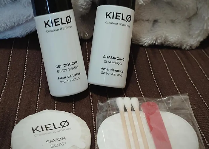 Chateau Saint-martin 4*