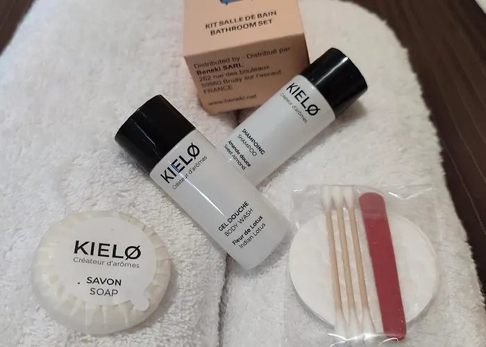 Chateau Saint-martin 4*