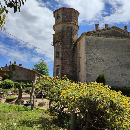 ベッド・アンド・ブレックファスト Chateau Saint-martin *