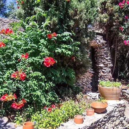 Chateau Saint-martin Bed & Breakfast *